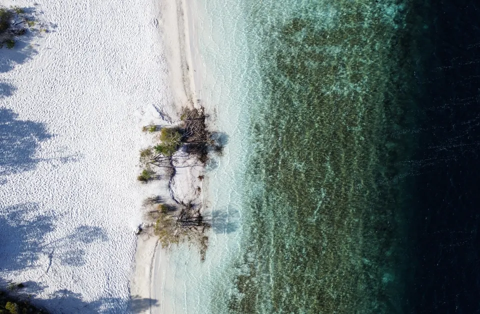 Aerial drone photograph of the Queensland coastline by Wave Creative